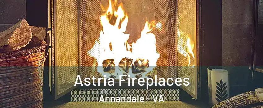  Astria Fireplaces Annandale - VA