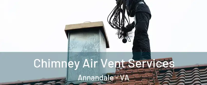  Chimney Air Vent Services Annandale - VA