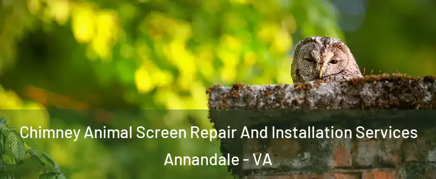  Chimney Animal Screen Repair And Installation Services Annandale - VA