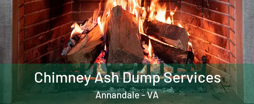  Chimney Ash Dump Services Annandale - VA