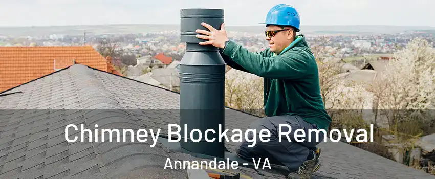  Chimney Blockage Removal Annandale - VA