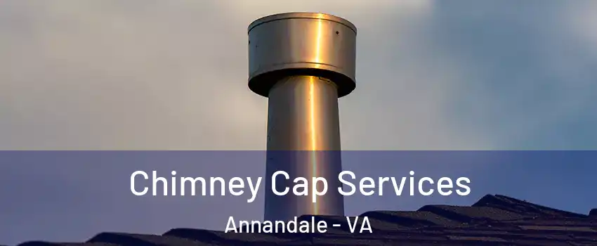  Chimney Cap Services Annandale - VA
