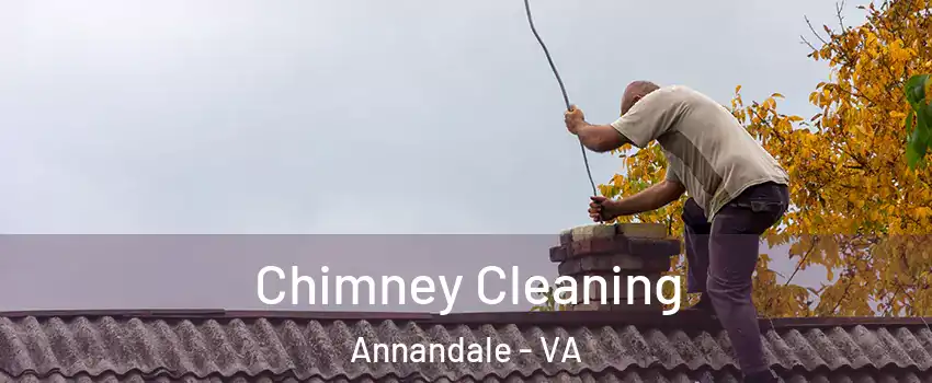  Chimney Cleaning Annandale - VA