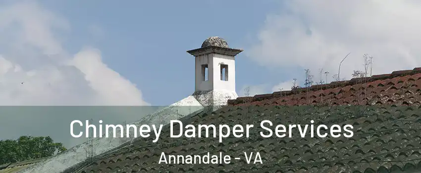  Chimney Damper Services Annandale - VA