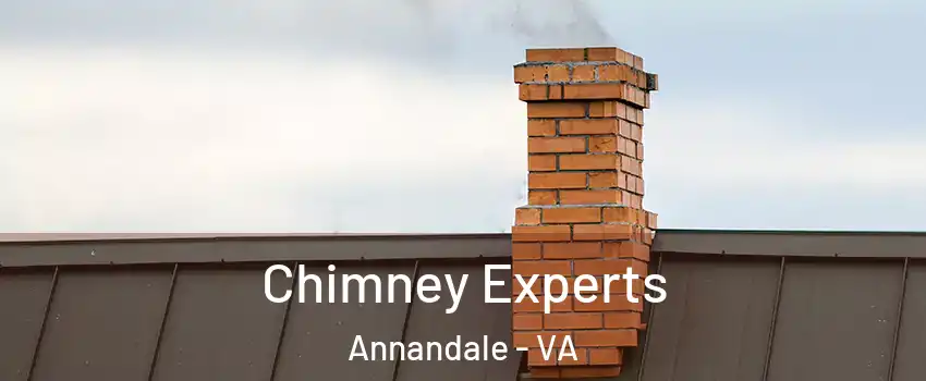 Chimney Experts Annandale - VA