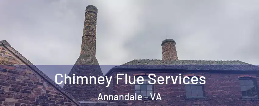 Chimney Flue Services Annandale - VA