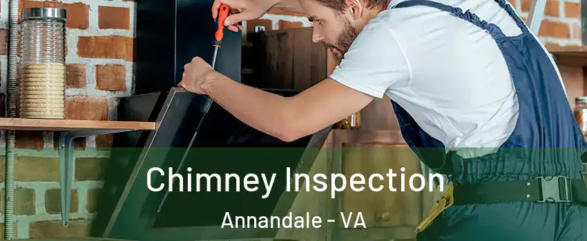  Chimney Inspection Annandale - VA