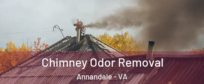  Chimney Odor Removal Annandale - VA