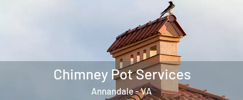  Chimney Pot Services Annandale - VA