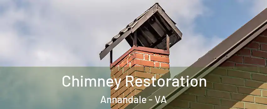  Chimney Restoration Annandale - VA