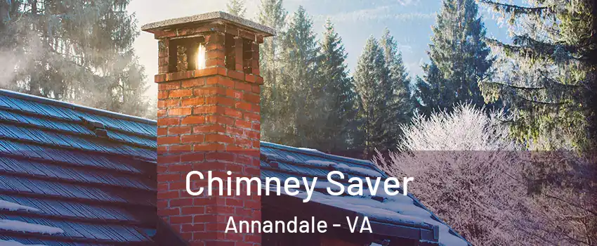  Chimney Saver Annandale - VA