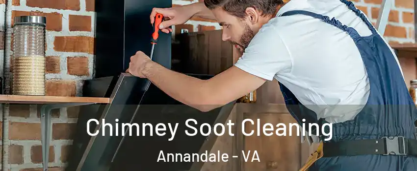  Chimney Soot Cleaning Annandale - VA