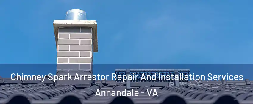  Chimney Spark Arrestor Repair And Installation Services Annandale - VA