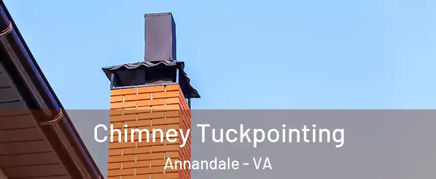  Chimney Tuckpointing Annandale - VA