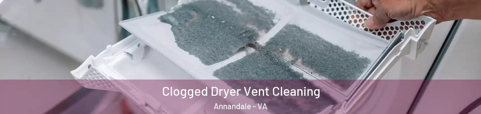  Clogged Dryer Vent Cleaning Annandale - VA