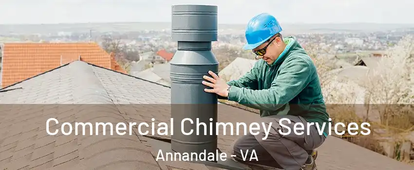  Commercial Chimney Services Annandale - VA