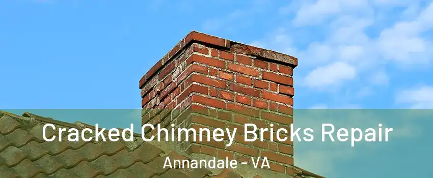  Cracked Chimney Bricks Repair Annandale - VA