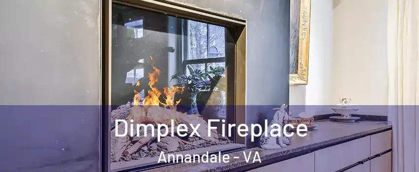  Dimplex Fireplace Annandale - VA
