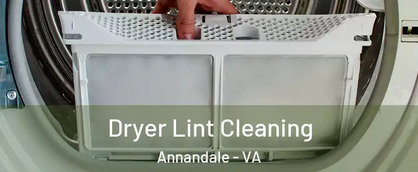  Dryer Lint Cleaning Annandale - VA