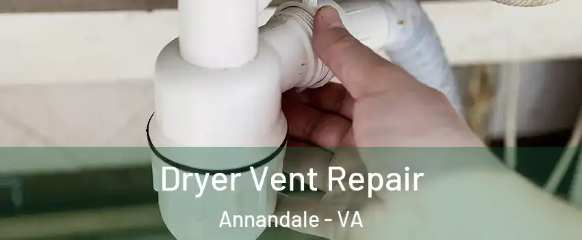  Dryer Vent Repair Annandale - VA