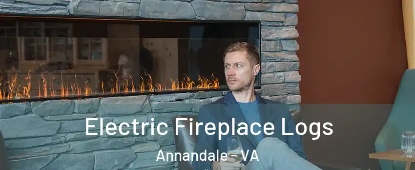  Electric Fireplace Logs Annandale - VA