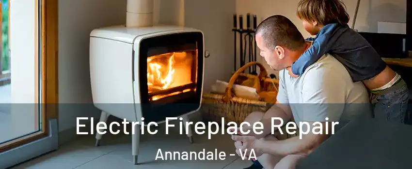  Electric Fireplace Repair Annandale - VA