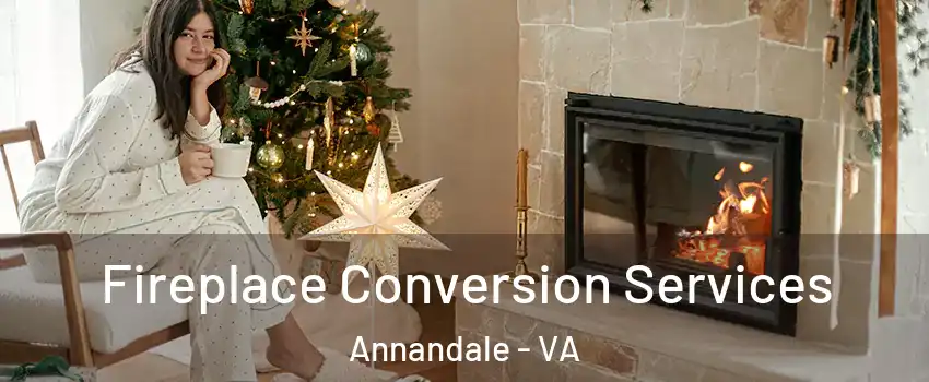  Fireplace Conversion Services Annandale - VA
