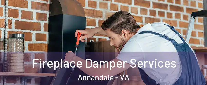  Fireplace Damper Services Annandale - VA