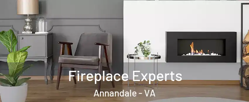  Fireplace Experts Annandale - VA