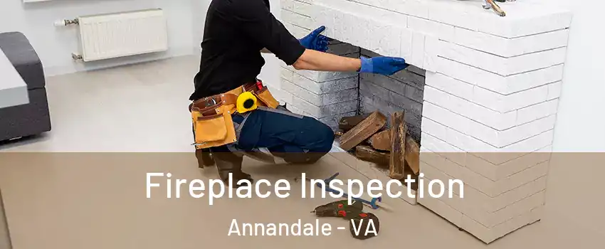  Fireplace Inspection Annandale - VA