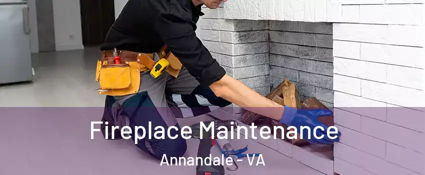  Fireplace Maintenance Annandale - VA