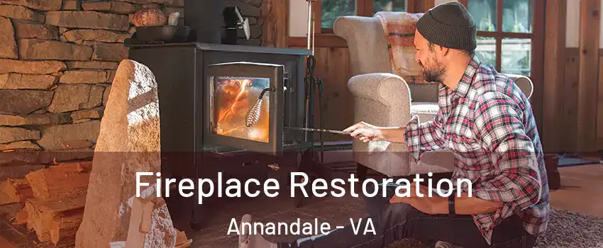  Fireplace Restoration Annandale - VA