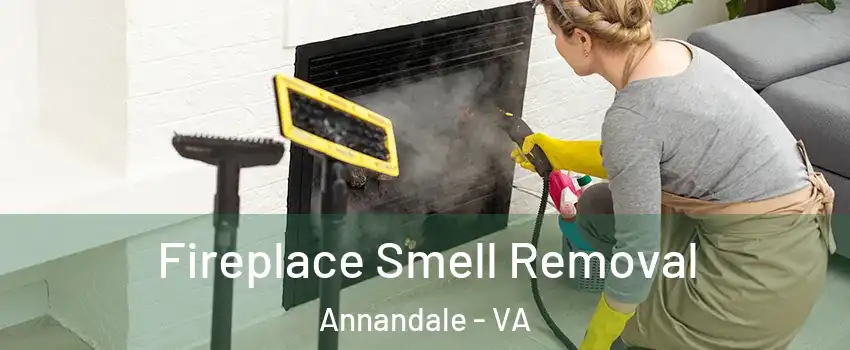  Fireplace Smell Removal Annandale - VA