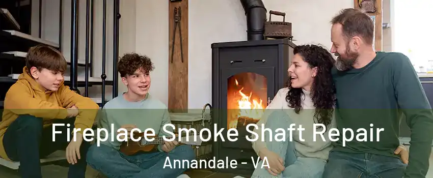  Fireplace Smoke Shaft Repair Annandale - VA