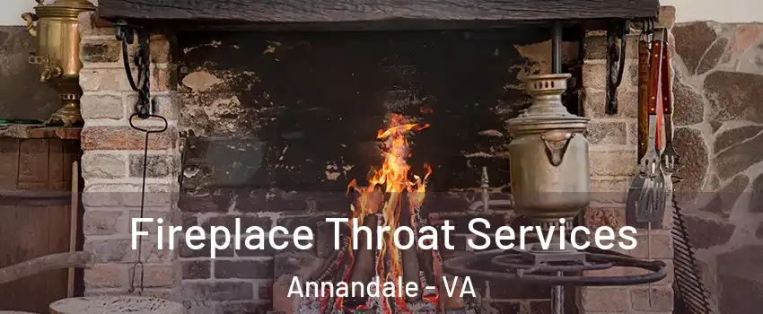  Fireplace Throat Services Annandale - VA