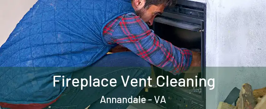  Fireplace Vent Cleaning Annandale - VA