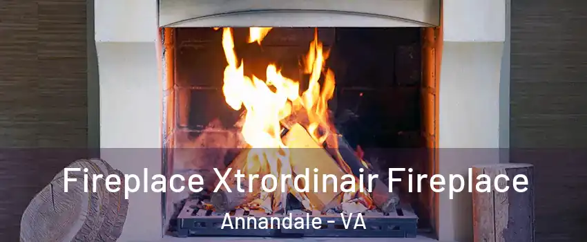  Fireplace Xtrordinair Fireplace Annandale - VA