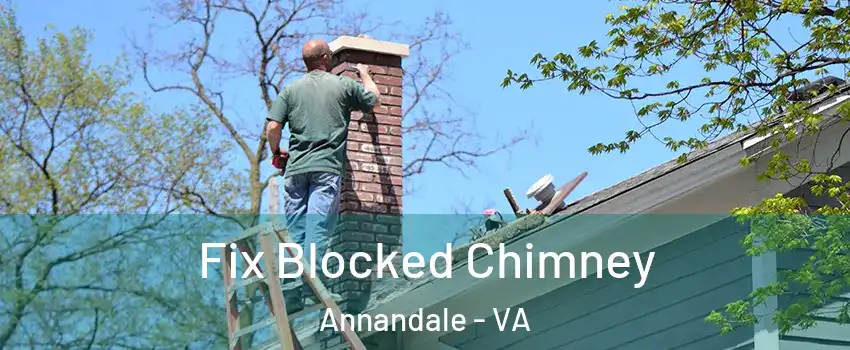  Fix Blocked Chimney Annandale - VA