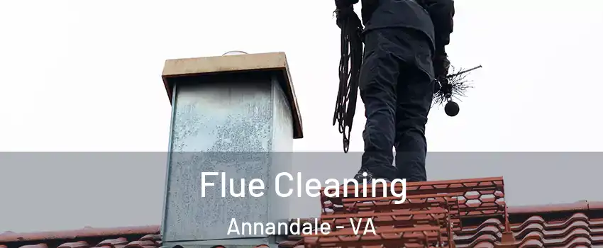  Flue Cleaning Annandale - VA