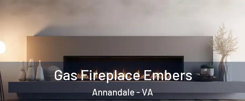  Gas Fireplace Embers Annandale - VA