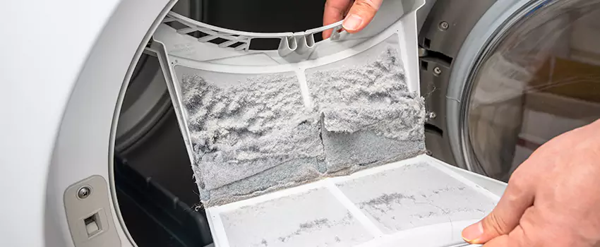 Best Dryer Lint Removal Company in Annandale, Virginia