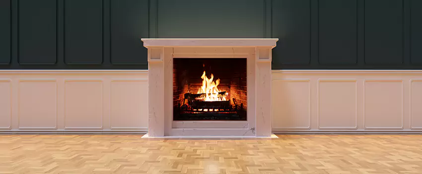 Napoleon Electric Fireplaces Inspection Service in Annandale, Virginia