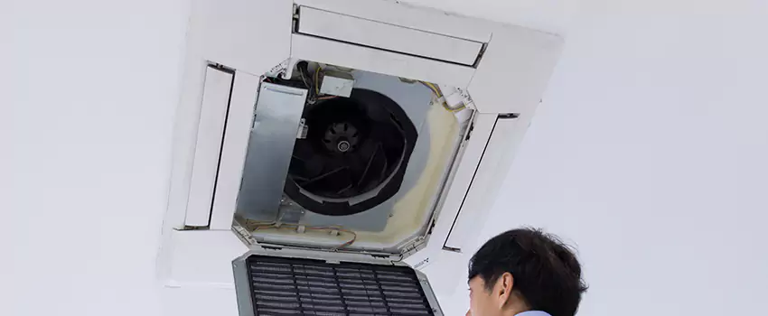Benefits of Professional Air Duct Cleaning in Annandale, Virginia