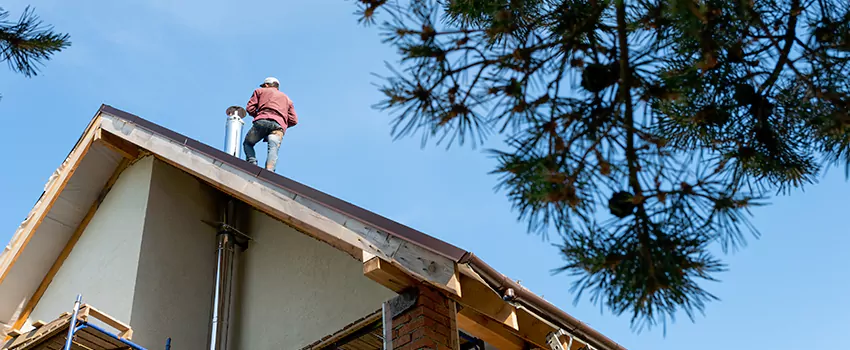 Birds Removal Contractors from Chimney in Annandale, VA
