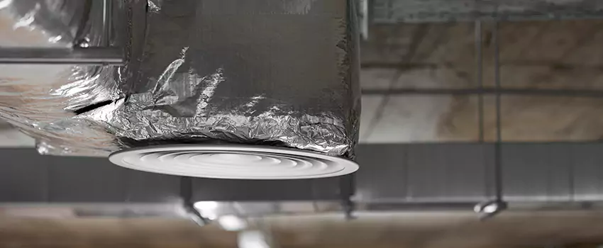 Signs of Dust Accumulation in Vents in Annandale, VA