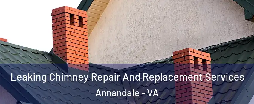  Leaking Chimney Repair And Replacement Services Annandale - VA