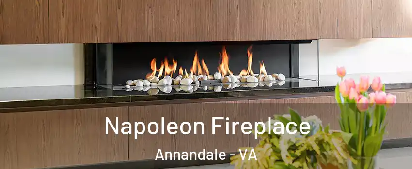  Napoleon Fireplace Annandale - VA