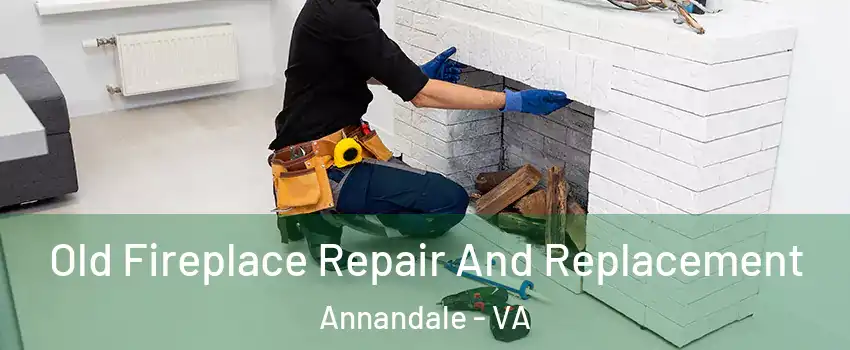  Old Fireplace Repair And Replacement Annandale - VA