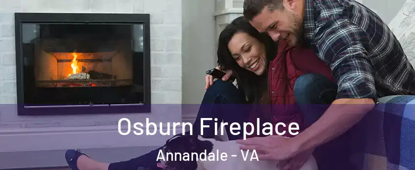  Osburn Fireplace Annandale - VA