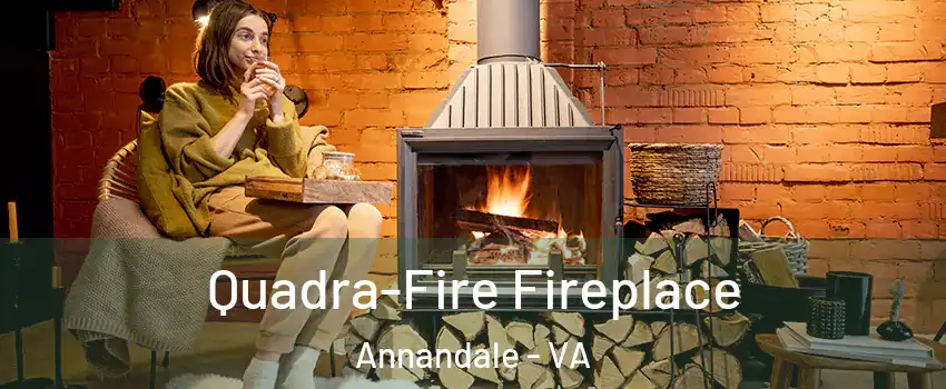  Quadra-Fire Fireplace Annandale - VA